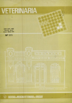 					Ver Vol. 27 Núm. 111 (1991): Enero - Marzo
				